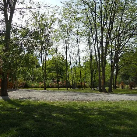 Le Bois De Celio Coux